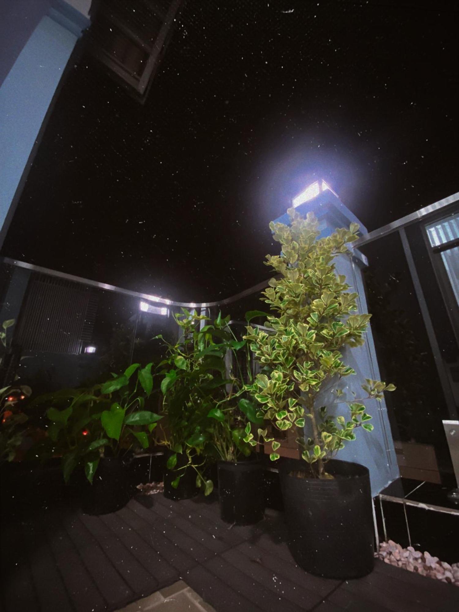 Guest house Saigonese *