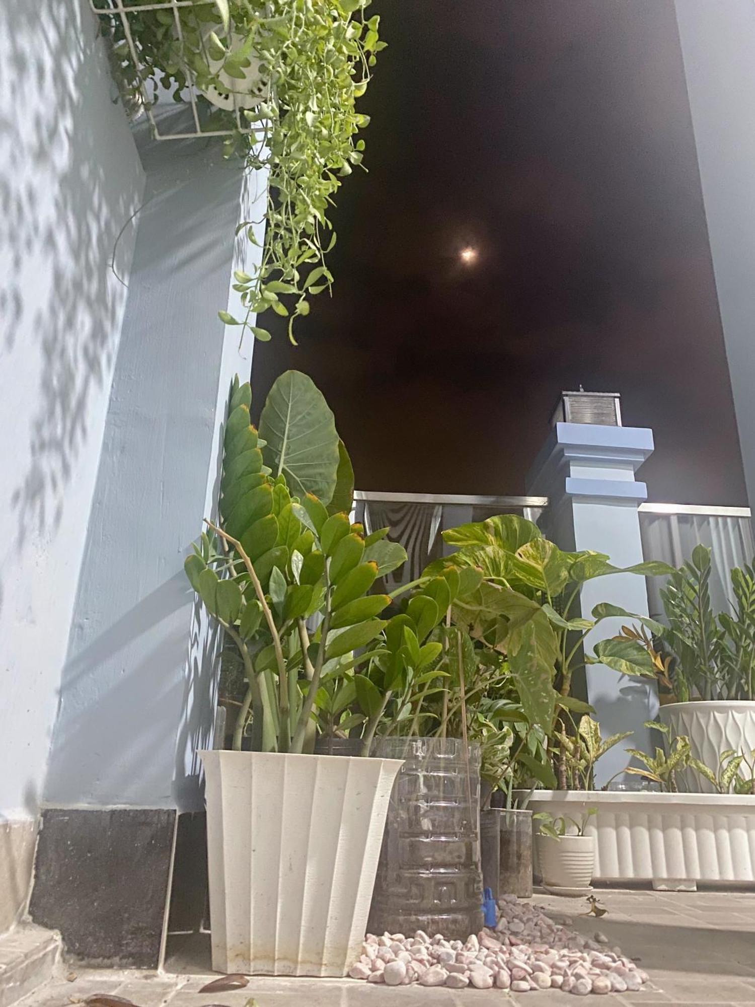 Saigonese Nhà khách TP. Hồ Chí Minh